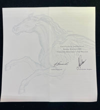 Swarovski 1998 Beautiful "Fabulous Creature" The Pegasus Crystal - $3K APR w/CoA APR 57