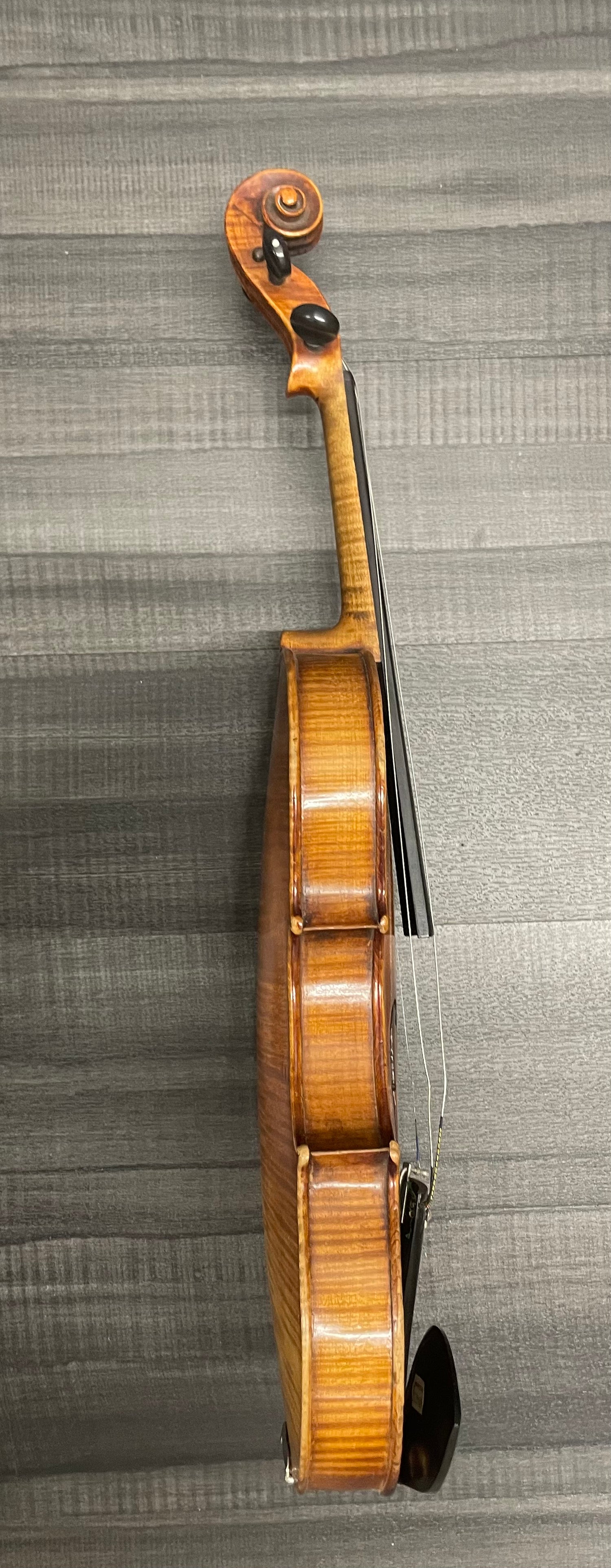 Roth glasser violin bow top