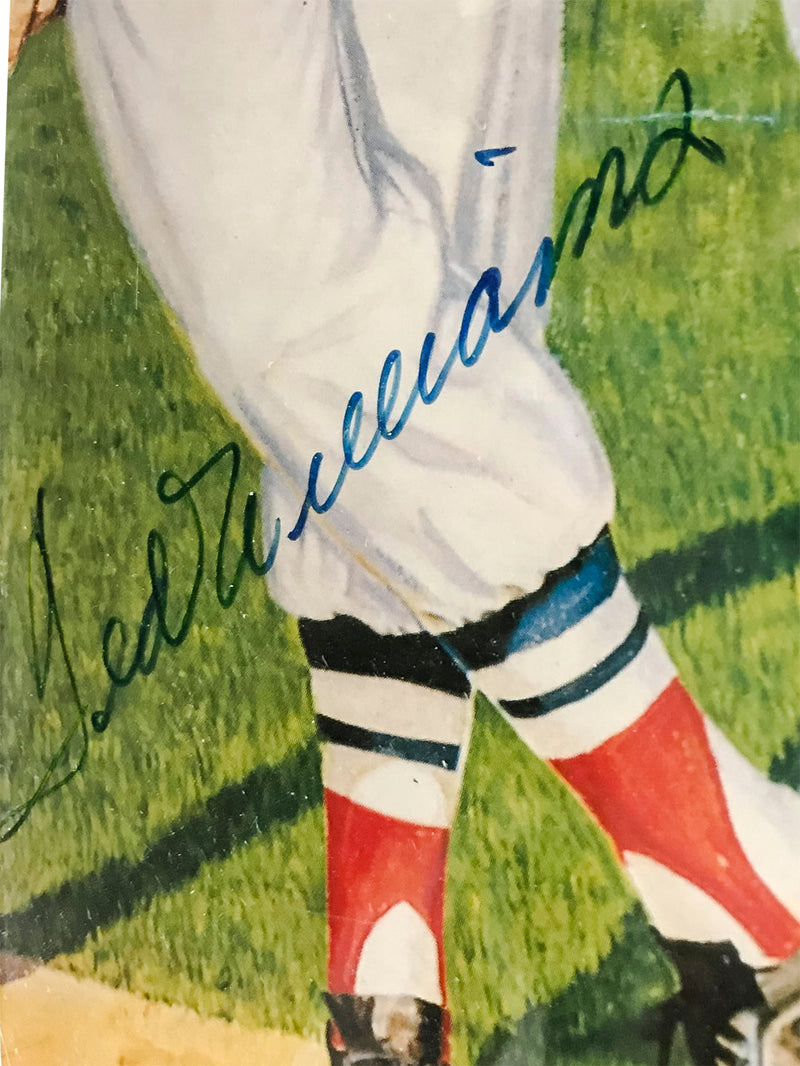 Ron Lewis “500 Homerun Hitters” 1988 Lithograph w/11 Signatures - $20K APR Value w/ CoA! + APR 57